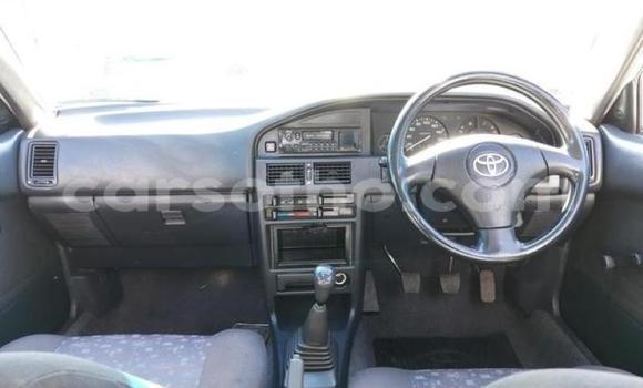 Buy Used Toyota Etios Silver Car in Maseru in Maseru Buy Used Toyota Etios Silver Car in Maseru in Maseru