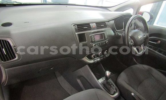 Buy Used Kia Rio Red Car in Maseru in Maseru Buy Used Kia Rio Red Car in Maseru in Maseru