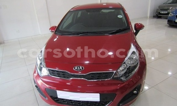 Buy Used Kia Rio Red Car in Maseru in Maseru Buy Used Kia Rio Red Car in Maseru in Maseru