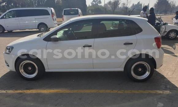 Acheter Occasion Voiture Volkswagen Polo Blanc à Maputsoe, Leribe Acheter Occasion Voiture Volkswagen Polo Blanc à Maputsoe, Leribe