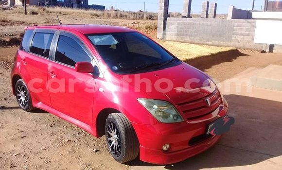 اشتري مستعمل Toyota IST Red سيارة في Maseru في Maseru اشتري مستعمل Toyota IST Red سيارة في Maseru في Maseru