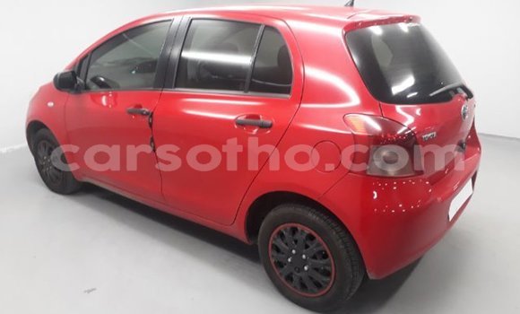 Buy Used Toyota Yaris Red Car in Maputsoe in Leribe Buy Used Toyota Yaris Red Car in Maputsoe in Leribe