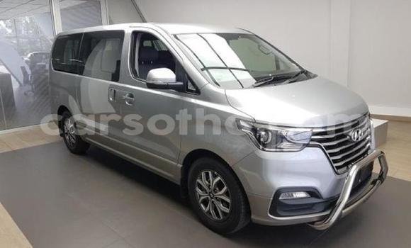 اشتري مستعمل Hyundai H1 Silver سيارة في Maseru في Maseru اشتري مستعمل Hyundai H1 Silver سيارة في Maseru في Maseru