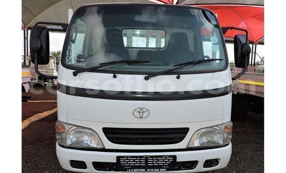 اشتري مستعمل Toyota Dyna White شاحنة في Hlotse في Leribe اشتري مستعمل Toyota Dyna White شاحنة في Hlotse في Leribe
