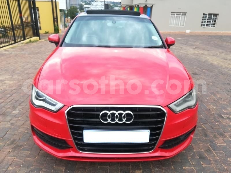 Big with watermark 55