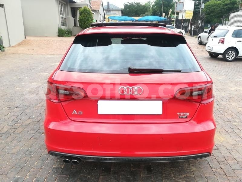 Big with watermark 66