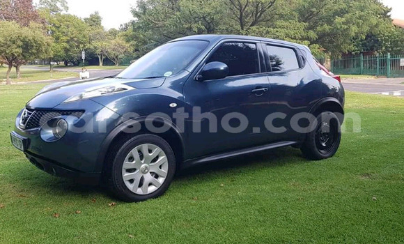 اشتري مستعمل Nissan Juke Green سيارة في Maseru في Maseru اشتري مستعمل Nissan Juke Green سيارة في Maseru في Maseru