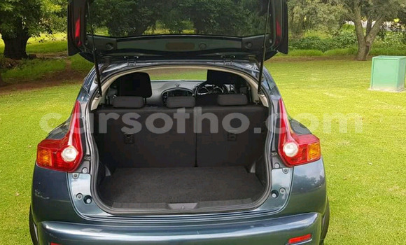 اشتري مستعمل Nissan Juke Green سيارة في Maseru في Maseru اشتري مستعمل Nissan Juke Green سيارة في Maseru في Maseru