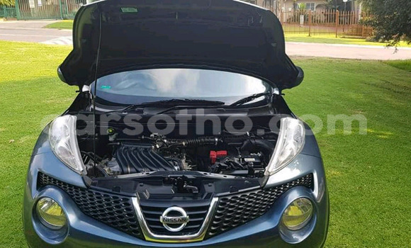 اشتري مستعمل Nissan Juke Green سيارة في Maseru في Maseru اشتري مستعمل Nissan Juke Green سيارة في Maseru في Maseru