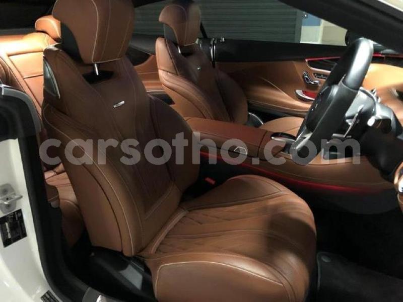 Big with watermark crop800x600 49 