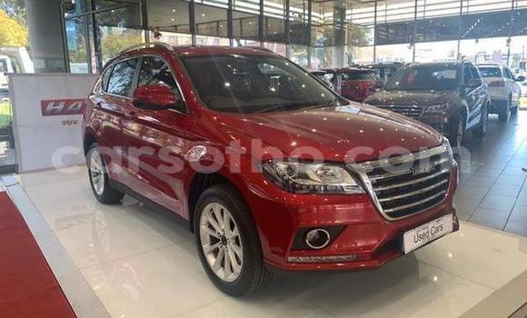 Acheter Occasion Voiture Haval H6 Coupe Rouge à Hlotse, Leribe Acheter Occasion Voiture Haval H6 Coupe Rouge à Hlotse, Leribe