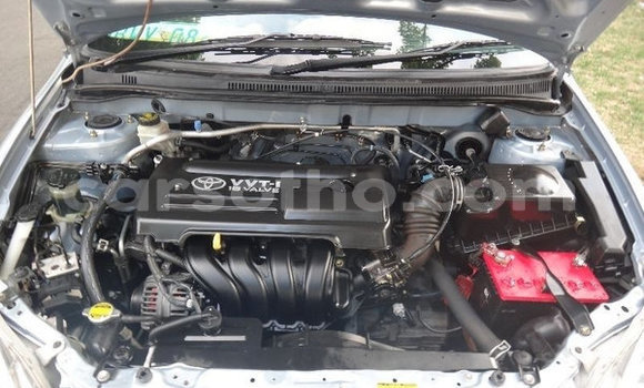 Acheter Occasion Voiture Toyota Runx Bleu à Maseru, Maseru Acheter Occasion Voiture Toyota Runx Bleu à Maseru, Maseru