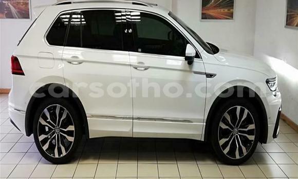 اشتري مستعمل Volkswagen Tiguan White سيارة في Mafeteng في Mafeteng اشتري مستعمل Volkswagen Tiguan White سيارة في Mafeteng في Mafeteng