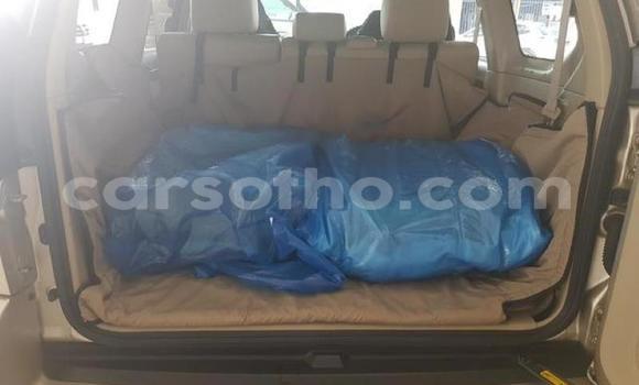 Sayi Na hannu Toyota Land Cruiser Prado Other Mota in Mafeteng a Mafeteng Sayi Na hannu Toyota Land Cruiser Prado Other Mota in Mafeteng a Mafeteng