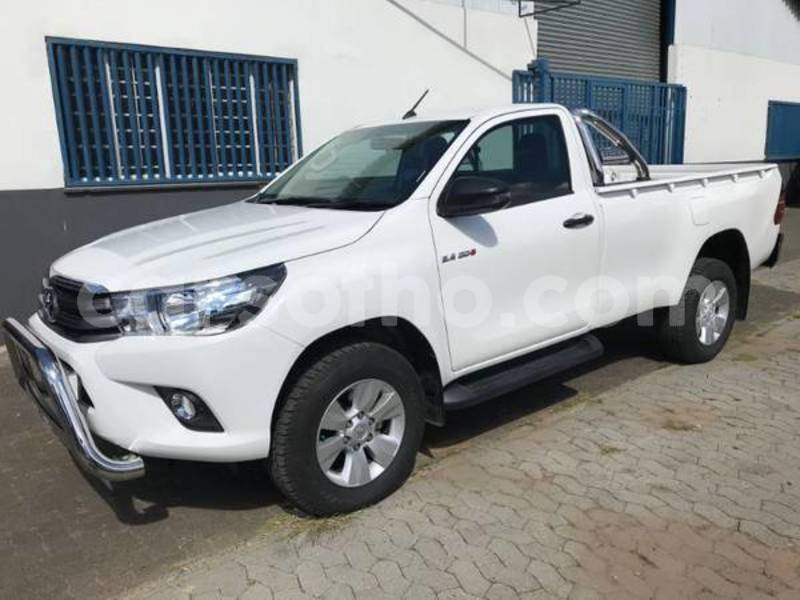 Big with watermark z