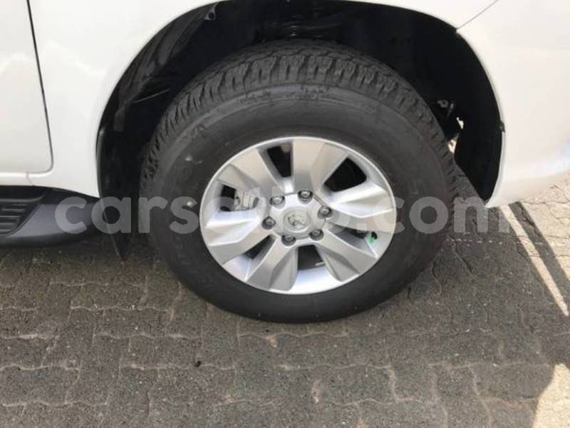 Big with watermark zzz