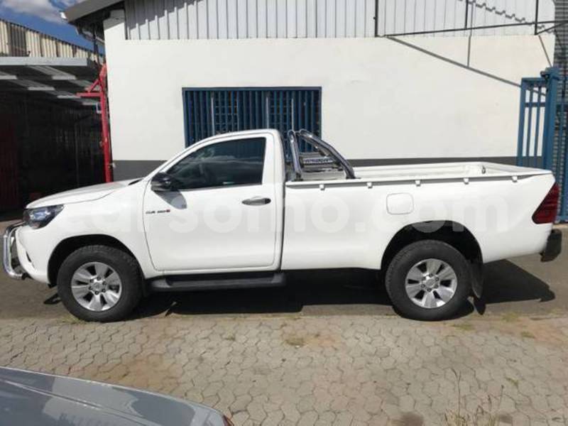 Big with watermark zzzz