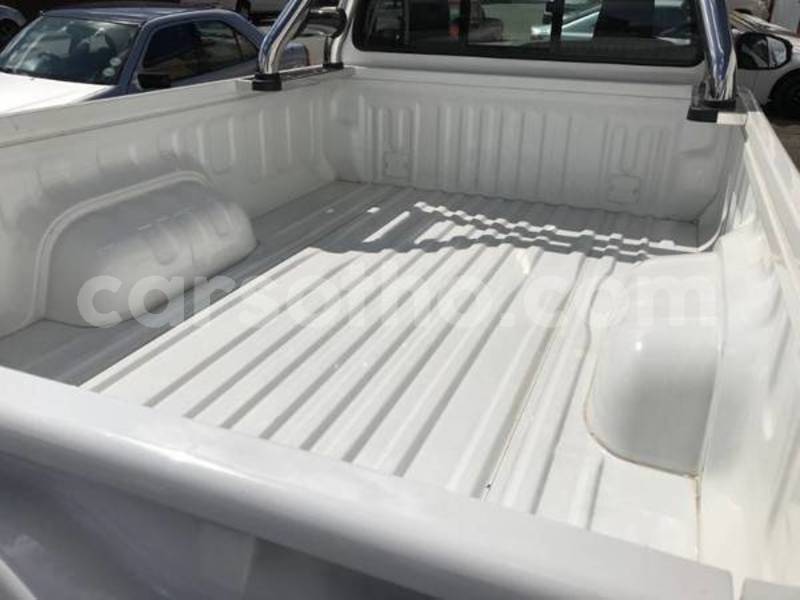 Big with watermark zzzzz