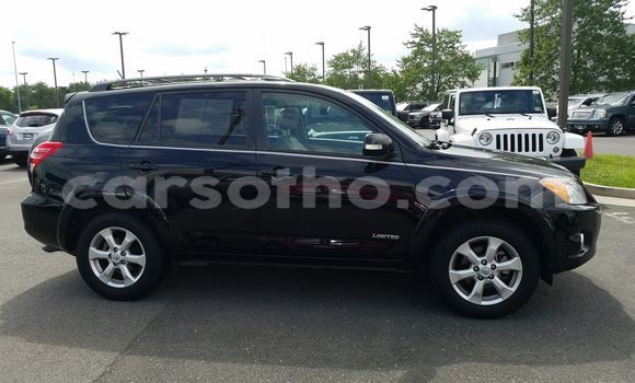 Buy New Toyota RAV4 Black Car in Peka in Leribe Buy New Toyota RAV4 Black Car in Peka in Leribe