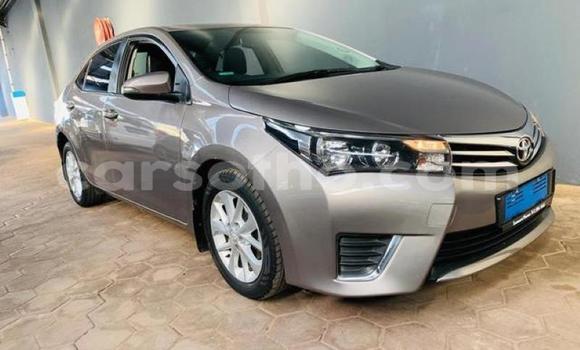 Buy Used Toyota Corolla Silver Car in Maseru in Maseru Buy Used Toyota Corolla Silver Car in Maseru in Maseru