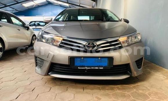Buy Used Toyota Corolla Silver Car in Maseru in Maseru Buy Used Toyota Corolla Silver Car in Maseru in Maseru