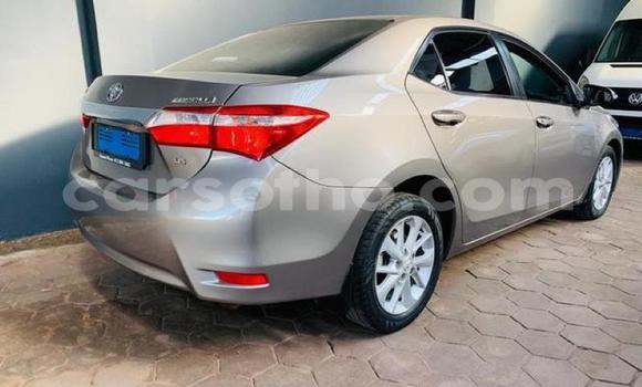 Buy Used Toyota Corolla Silver Car in Maseru in Maseru Buy Used Toyota Corolla Silver Car in Maseru in Maseru