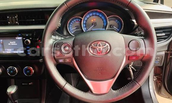 Buy Used Toyota Corolla Silver Car in Maseru in Maseru Buy Used Toyota Corolla Silver Car in Maseru in Maseru