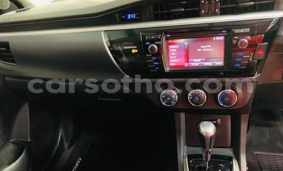 Buy Used Toyota Corolla Silver Car in Maseru in Maseru Buy Used Toyota Corolla Silver Car in Maseru in Maseru