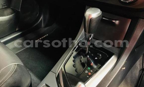 Buy Used Toyota Corolla Silver Car in Maseru in Maseru Buy Used Toyota Corolla Silver Car in Maseru in Maseru