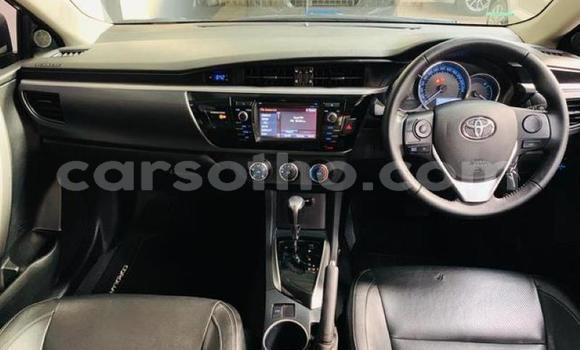 Buy Used Toyota Corolla Silver Car in Maseru in Maseru Buy Used Toyota Corolla Silver Car in Maseru in Maseru