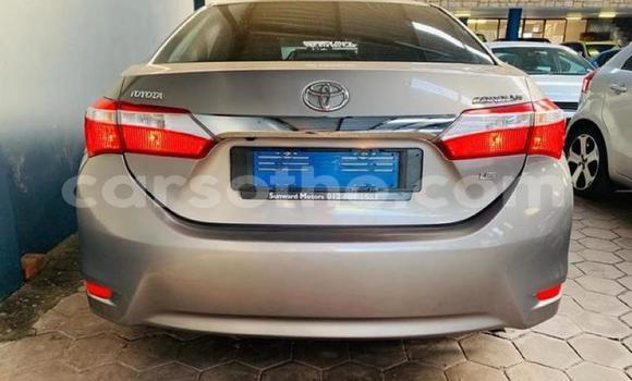 Buy Used Toyota Corolla Silver Car in Maseru in Maseru Buy Used Toyota Corolla Silver Car in Maseru in Maseru