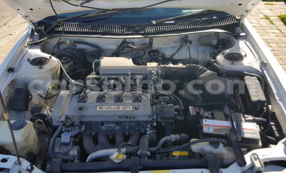 اشتري مستعمل Toyota Corolla White سيارة في Maseru في Maseru اشتري مستعمل Toyota Corolla White سيارة في Maseru في Maseru