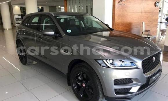 Sayi Na hannu Jaguar F-Pace Silver Mota in Butha–Buthe a Thaba-Tseka