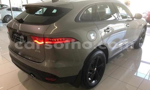 اشتري مستعمل Jaguar F-Pace Silver سيارة في Butha–Buthe في Thaba-Tseka اشتري مستعمل Jaguar F-Pace Silver سيارة في Butha–Buthe في Thaba-Tseka