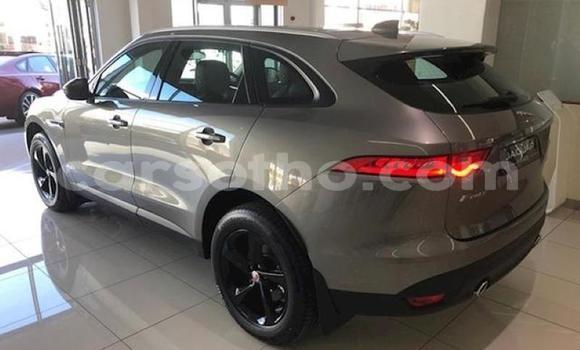 اشتري مستعمل Jaguar F-Pace Silver سيارة في Butha–Buthe في Thaba-Tseka اشتري مستعمل Jaguar F-Pace Silver سيارة في Butha–Buthe في Thaba-Tseka