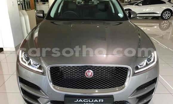 اشتري مستعمل Jaguar F-Pace Silver سيارة في Butha–Buthe في Thaba-Tseka اشتري مستعمل Jaguar F-Pace Silver سيارة في Butha–Buthe في Thaba-Tseka