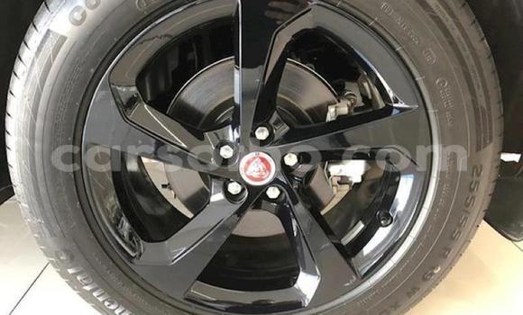 اشتري مستعمل Jaguar F-Pace Silver سيارة في Butha–Buthe في Thaba-Tseka اشتري مستعمل Jaguar F-Pace Silver سيارة في Butha–Buthe في Thaba-Tseka