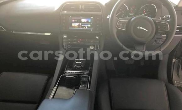 اشتري مستعمل Jaguar F-Pace Silver سيارة في Butha–Buthe في Thaba-Tseka اشتري مستعمل Jaguar F-Pace Silver سيارة في Butha–Buthe في Thaba-Tseka