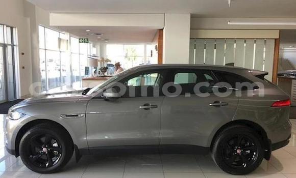 اشتري مستعمل Jaguar F-Pace Silver سيارة في Butha–Buthe في Thaba-Tseka اشتري مستعمل Jaguar F-Pace Silver سيارة في Butha–Buthe في Thaba-Tseka