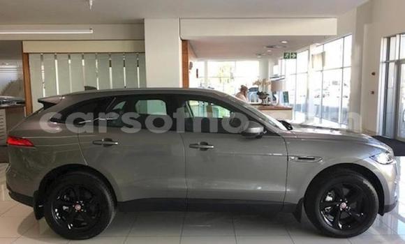 اشتري مستعمل Jaguar F-Pace Silver سيارة في Butha–Buthe في Thaba-Tseka اشتري مستعمل Jaguar F-Pace Silver سيارة في Butha–Buthe في Thaba-Tseka