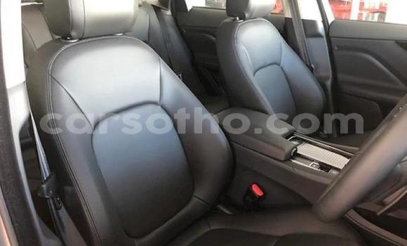 اشتري مستعمل Jaguar F-Pace Silver سيارة في Butha–Buthe في Thaba-Tseka اشتري مستعمل Jaguar F-Pace Silver سيارة في Butha–Buthe في Thaba-Tseka