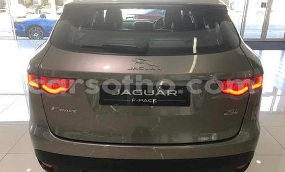 اشتري مستعمل Jaguar F-Pace Silver سيارة في Butha–Buthe في Thaba-Tseka اشتري مستعمل Jaguar F-Pace Silver سيارة في Butha–Buthe في Thaba-Tseka