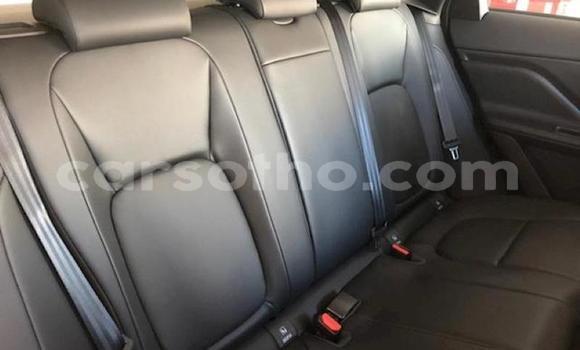 اشتري مستعمل Jaguar F-Pace Silver سيارة في Butha–Buthe في Thaba-Tseka اشتري مستعمل Jaguar F-Pace Silver سيارة في Butha–Buthe في Thaba-Tseka