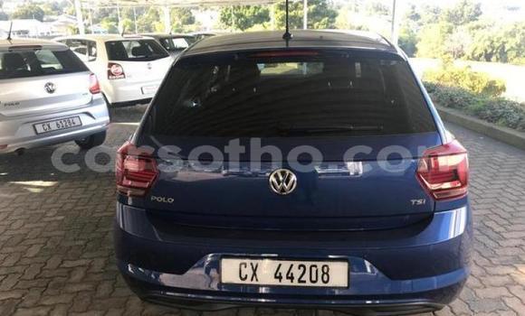 Buy Used Volkswagen Polo Blue Car in Maseru in Maseru Buy Used Volkswagen Polo Blue Car in Maseru in Maseru