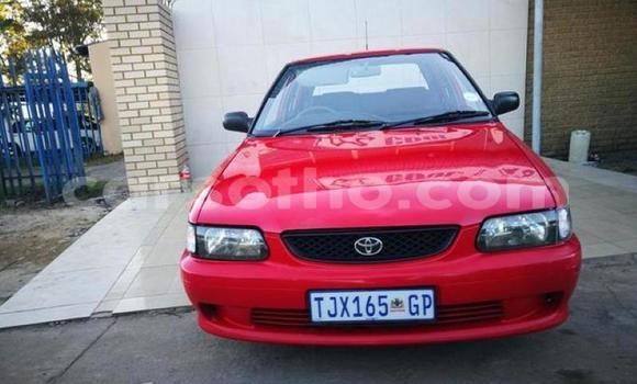 Acheter Occasion Voiture Toyota Tacoma Rouge à Maputsoa, Leribe Acheter Occasion Voiture Toyota Tacoma Rouge à Maputsoa, Leribe