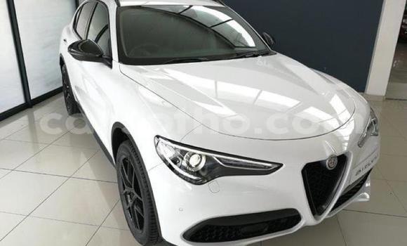 اشتري مستعمل Alfa Romeo Stelvio White سيارة في Maseru في Maseru اشتري مستعمل Alfa Romeo Stelvio White سيارة في Maseru في Maseru