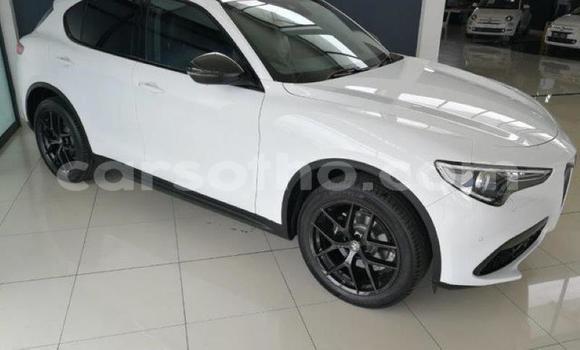 اشتري مستعمل Alfa Romeo Stelvio White سيارة في Maseru في Maseru اشتري مستعمل Alfa Romeo Stelvio White سيارة في Maseru في Maseru