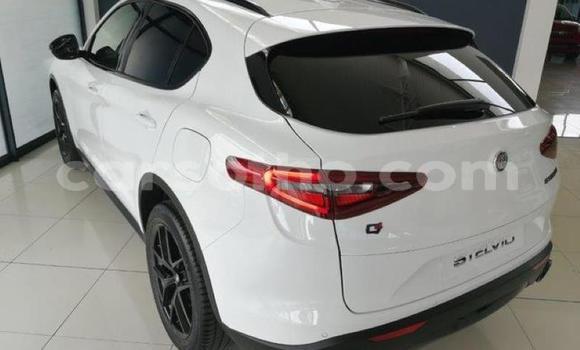 اشتري مستعمل Alfa Romeo Stelvio White سيارة في Maseru في Maseru اشتري مستعمل Alfa Romeo Stelvio White سيارة في Maseru في Maseru