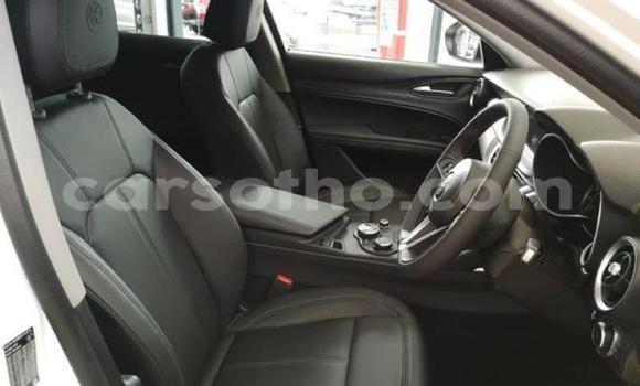 اشتري مستعمل Alfa Romeo Stelvio White سيارة في Maseru في Maseru اشتري مستعمل Alfa Romeo Stelvio White سيارة في Maseru في Maseru
