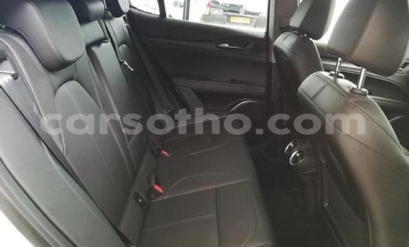 اشتري مستعمل Alfa Romeo Stelvio White سيارة في Maseru في Maseru اشتري مستعمل Alfa Romeo Stelvio White سيارة في Maseru في Maseru